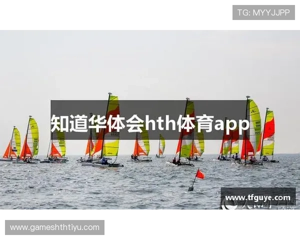 华体会网页登录：提升登录效率的实用建议与注意事项